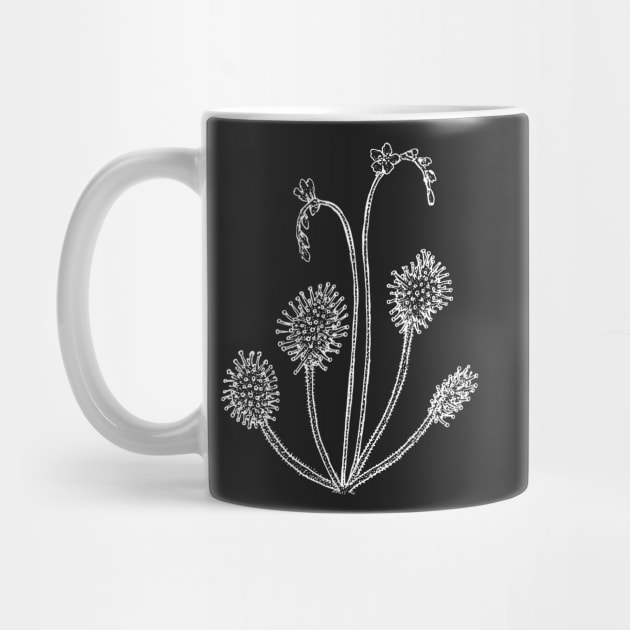 Drosera rotundifolia round leaved sundew Plant Botanical Drawing Carnivorous Plant by Venus Fly Trap Shirts